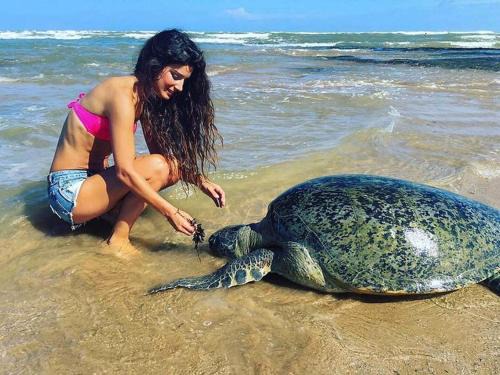 Nalagasdeniya Casa | Turtle Bay