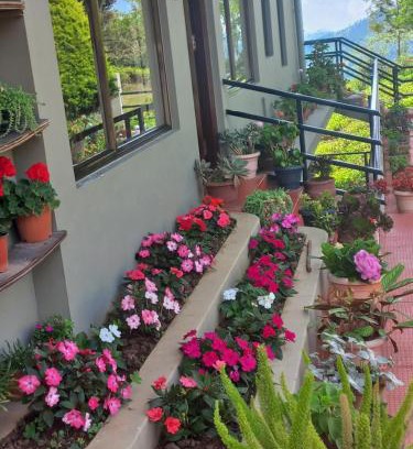 Coonoor Casa | RINKOOS MOUNTAINS & mist