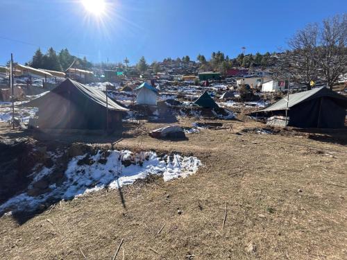 Auli Otro | Budget Camp