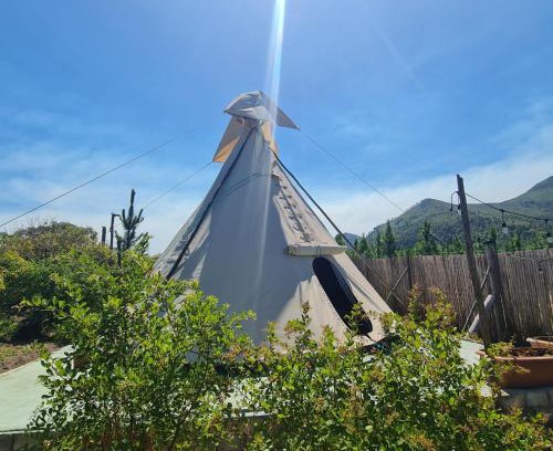 Witelsbos Otro | Teepees Tsitsikamma Wolf Sanctuary