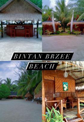 Berakit Cabina | Bintan Brzee Beach in Bintan Island - Bungalow 2
