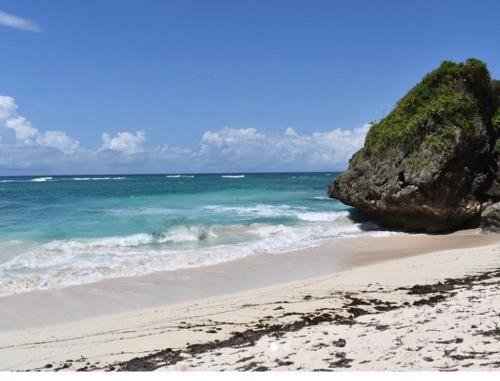 Vipingo Apartamento | Vipingo development