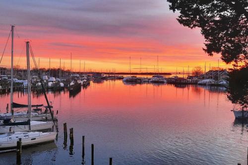 Eastport Apartamento | Waterfront Condo Amazing Views with Resort Amenities