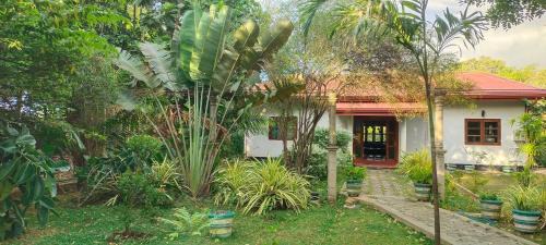 Kimbissa Casa | peacock house