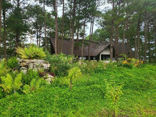 Da Lat Apartamento | FULL MOON FARMS DALAT